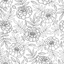 Vector Seamless Pattern With Outline Tagetes Or Marigold Flower And Leaves In Black On The White Background. Floral Pattern In Contour Style With Ornate Marigold For Summer Design And Coloring Book.