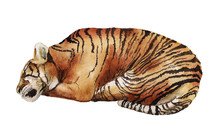 Watercolor Sleeping Tiger