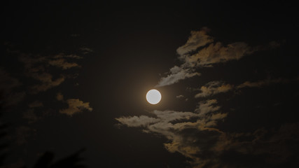 Wall Mural - Full moon and moonlight in cloud