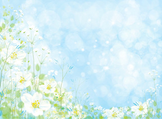 Vector beautiful  floral background, white flowers and green plants on blue bokeh background.