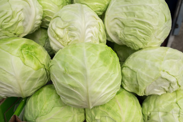 Poster - Organic cabbage sold at farmers market