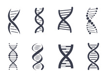 Collection Of DNA Deoxyribonucleic Acid Chain Logo