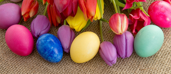  Spring tulips with colorful easter eggs.