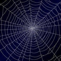 Poster - Spider web background - stock vector