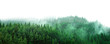 Leinwandbild Motiv green forest with mist and clear blank space