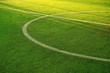 white circle line on green grass of football of soccer sport field background