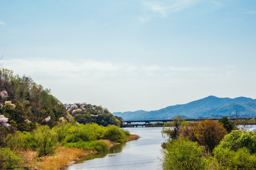 Canvas Print - River and mountain natural landscape in Korea