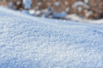 Canvas Print - Winter nature abstract background