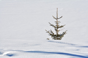 Sticker - Frozen lake, Bolboci Lake in bucegi mountains, Romania.