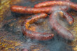 sausages grilling on a frying plate