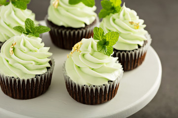 Wall Mural - Chocolate mint cupcakes with green frosting