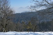 Winterlandschaft bei Steinbach am Ziehberg