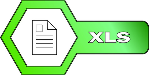 Poster - Hexagonal icon for XLS files - vector