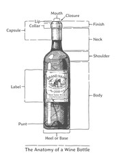 Wall Mural - Hand drawn Illustration of a Wine bottle