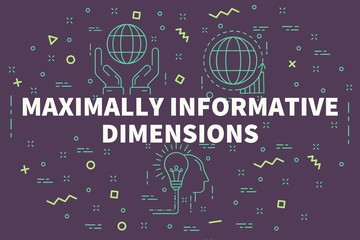 Conceptual business illustration with the words maximally informative dimensions