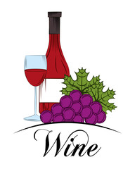 Wall Mural - wine drink grape bottle glasse cup vector illustration