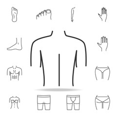 female back shoulder icon. Detailed set of human body part icons. Premium quality graphic design. One of the collection icons for websites, web design, mobile app