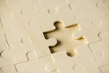 Macro Shot Jigsaw Puzzle Missing Solution Concept
