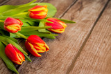 Fototapeta Tulipany - Bouquet of red-yellow tulips
