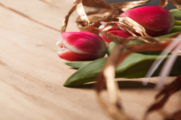 Canvas Print - Red tulip on wood desk