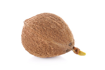 Poster - Coconut isolated on white background.