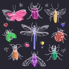 Wall Mural - Set of insects. Vector doodle symbol