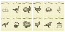 Labels With Farm Birds And Eggs. Set Templates Price Tags For Shops And Markets Of Organic Food. Vector Retro Illustration Art. Hand Drawn Nature Objects.