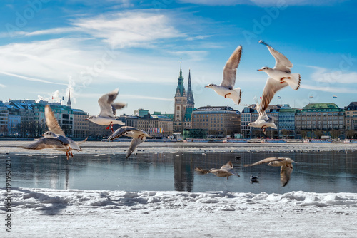 Fotomural Hamburg Alster im Schnee / Winter mit Möwen und blauem Himmel