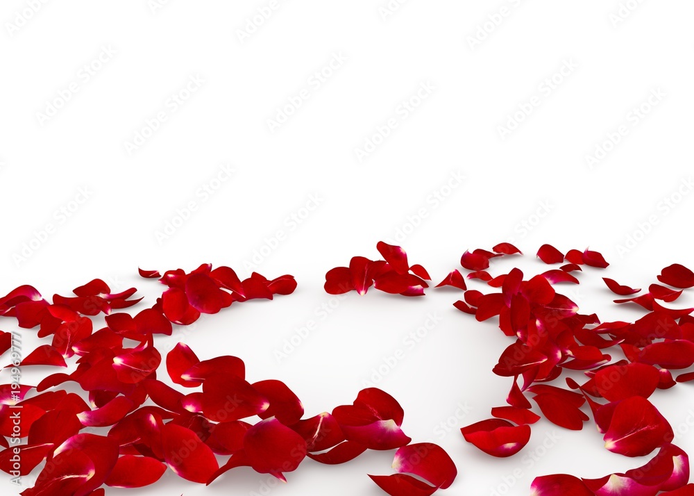 Scattered Roses Boarde Foto de Stock Red rose petals scattered on the floor. In the center an ...