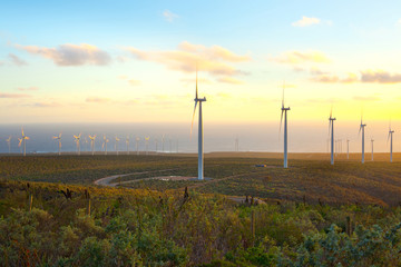 windmills at wind farm, coquimbo region, chile