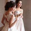 © cherry_d - Beautiful bride and bridesmaids in luxury dresses. Twins young women in wedding photosession