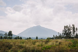 Fototapeta Sawanna - vulcano in Rwanda 