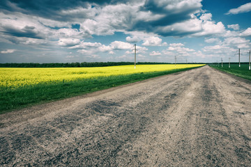Wall Mural - asphalt road in field with yellow flowers