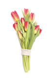 Fototapeta Tulipany - Red tulips bouquet on white background