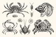 Vintage Crabs and Nautical Line Art - Handcrafted Engravings