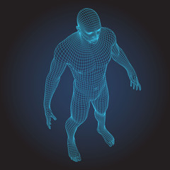 3d wire frame human body full face