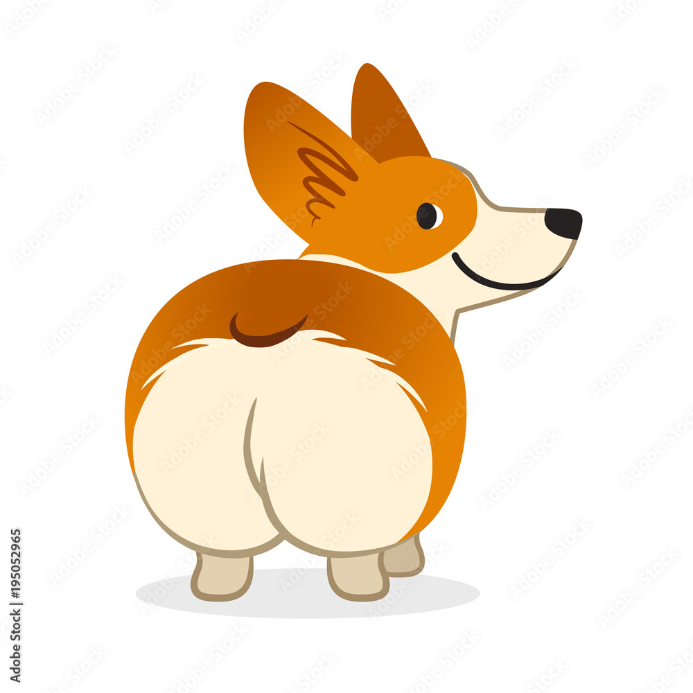 Cute smiling welsh corgi dog vector cartoon illustration. Funny corgi butt flat style design element isolated on white. Adobe Stock