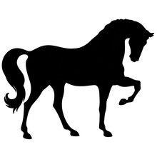Rearing Up Horse Fine Vector Silhouette And Outline - Graceful Black Stallions