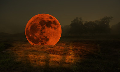 Wall Mural - earth and moon