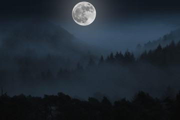 Wall Mural - full moon and clouds