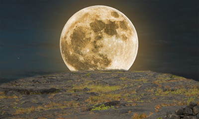 Wall Mural - Fantasy full moon with sky 