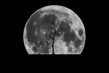 Wall Mural - The black moon night.