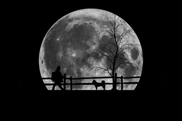 Wall Mural - The black moon night. with silhouette man and dog.