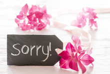 Background Wallpaper Free Stock Photo - Public Domain Pictures