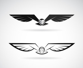 vector of an owl design on a white background. bird. animals.