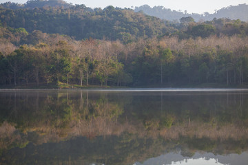 the forest in fertile spring and beautiful , refect the water closely divisibly