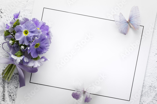 primrose flower on paper card