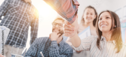 Fotomural Partnerships and startups: business people shaking hands