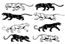 Illustration Of Silhouettes Of A Panther In Profile. Vector Set.