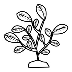 Sticker - leafs plant natural icon vector illustration design